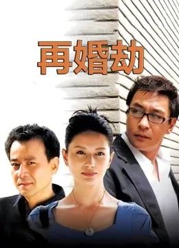 再婚劫